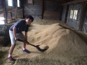 Farm6